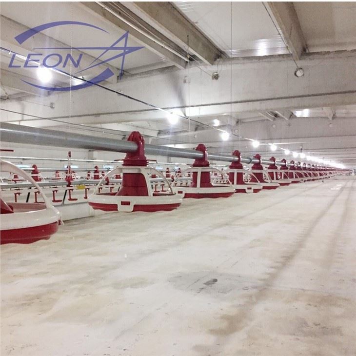 Automatic Breeder Pan Feeding System