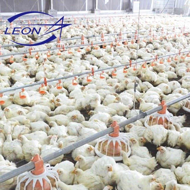 Broiler Floor System