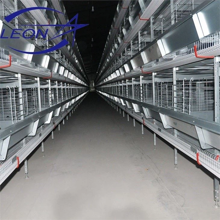 Layer Cage In Animal Cages