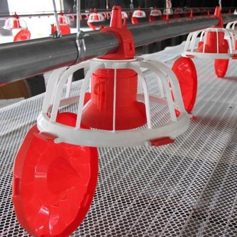 Leon Automatic Broiler Pan Feeding System Leon Automatic Broiler Pan Feeding System