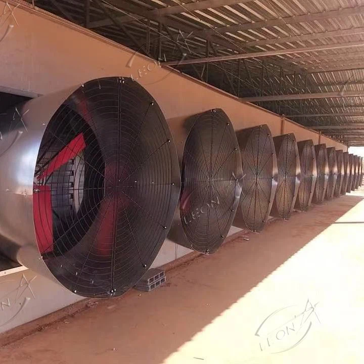 New Type Multi Fan Box Fan& Cone Fan
