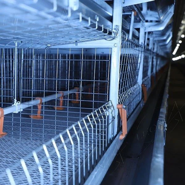Poultry Cages Equipment Broiler Cage System(NEW)