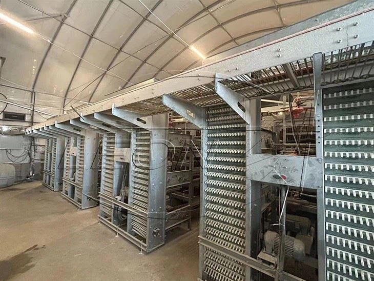H type layer cage egg colletction H type layer cage egg colletction