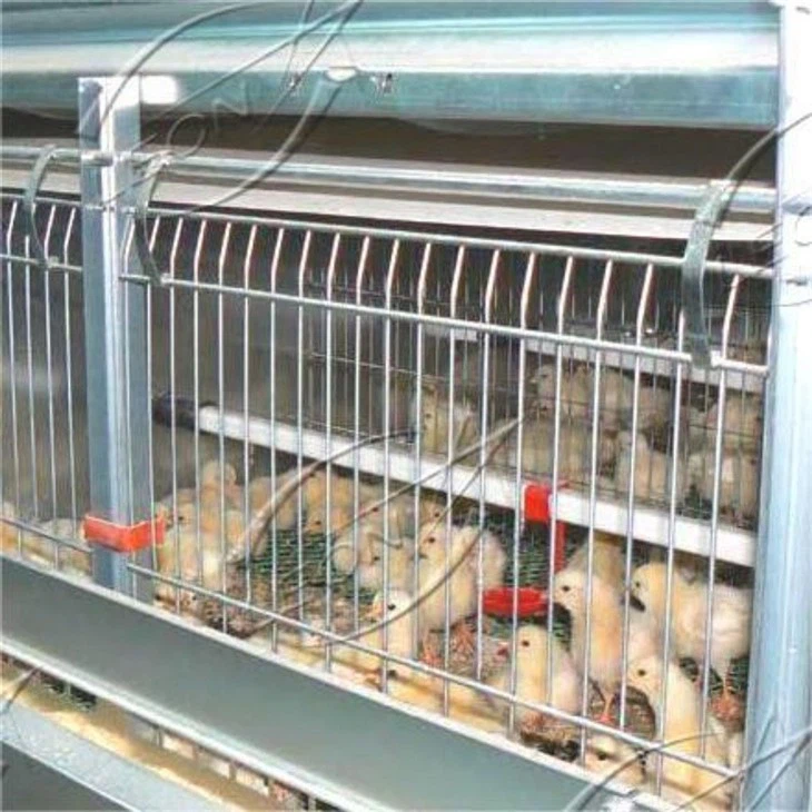 Broiler Cage Raising System