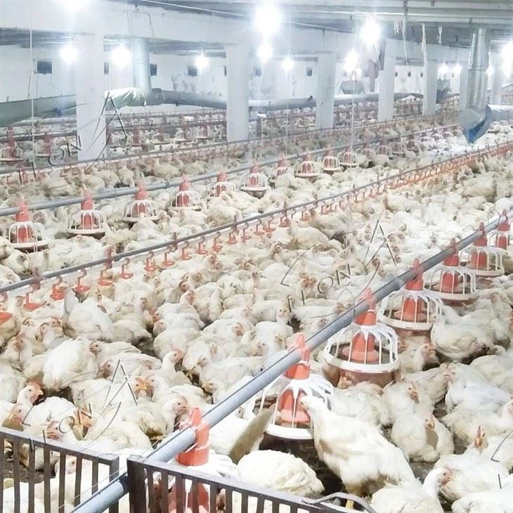 Broiler Floor Raising System