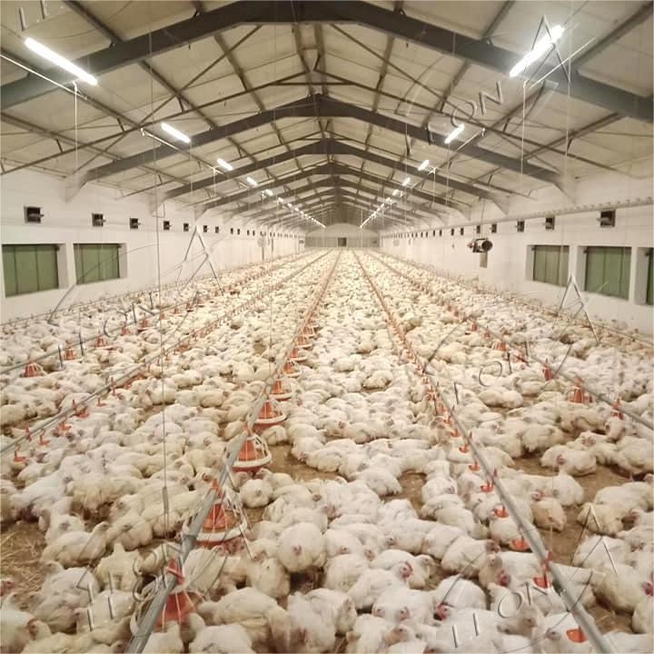 Broiler Floor Raising System