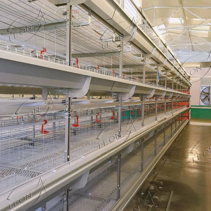 Chicken Cage For Broilers And Baby Chicks
