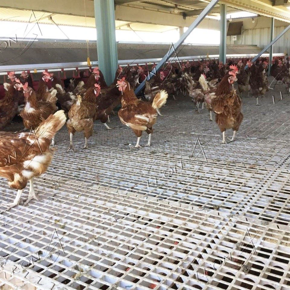 Breeder Raising System