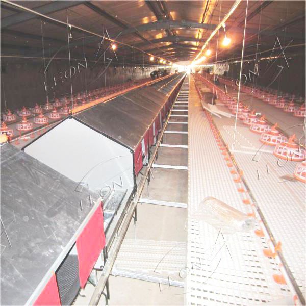 High-quality Efficient Raising System For Breeder suppliers