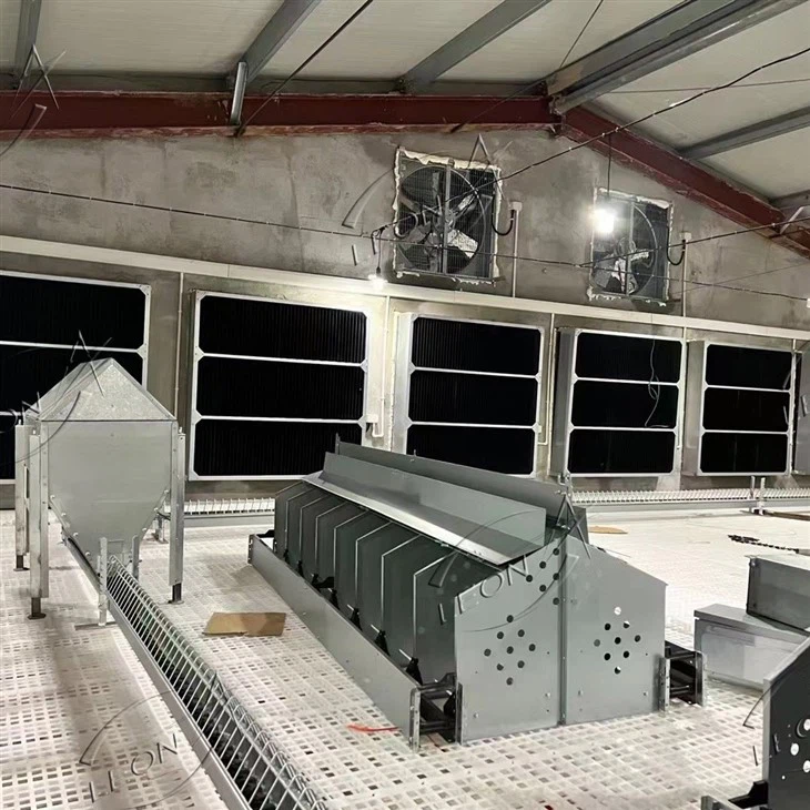 Poultry Automatic Breeder Laying Nest Box